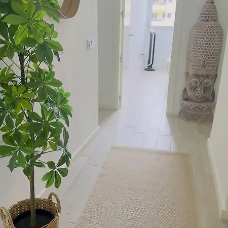 Ocean Garden Sunrise View * 阿德耶